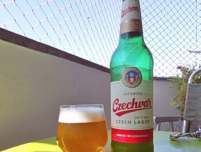 Czechvar Lager