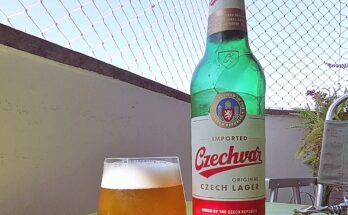 Czechvar Lager