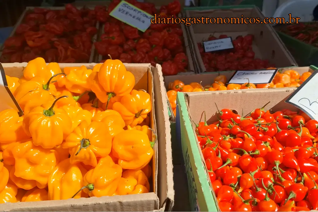 Mercado Kinjo Yamato, Centro de São Paulo, Mercado da Cantareira, Mercadão de SP, São Paulo, barraca de pimentas, pimentas brasileiras