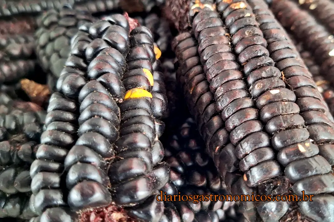 Chicharrón, Praça Kantuta, Feira Boliviana, São Paulo, Canindé, comida boliviana, culinária da Bolívia, culinária boliviana, porco frito, Anticucho, coração de boi, espetinho coração de boi, churrasquinho boliviano, Salteña, empanada boliviana, artesanato, milho roxo, chicha morada