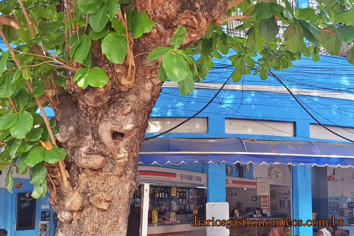 Bar da Amendoeira, Zona Norte do Rio, comida carioca, boteco carioca, comida de boteco, Rio de Janeiro