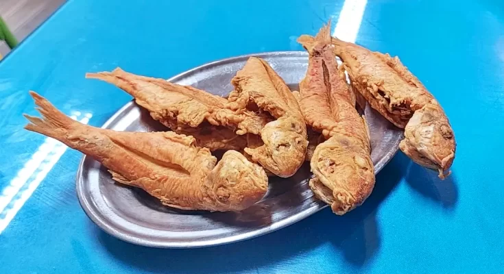 trilha frita, Caneco Gelado do Mário, Niterói, Rio de Janeiro, comida brasileira, comida praiana