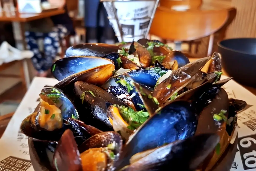 Moules Frites, clássico francês do Demi Boteco, boteco de comida francesa no Catete, no Rio de Janeiro. Bowl of steamed mussels with dark blue shells, garnished with chopped parsley and herbs, on a restaurant table.