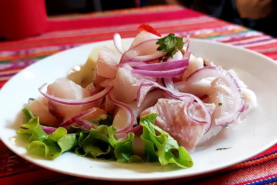 eviche mixto com peixe, camarão, lula e cebola roxa servido no restaurante Doña Bertha em São Paulo.