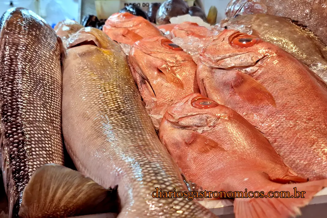 Peixes frescos expostos sobre gelo em peixaria do Mercado de Peixe São Pedro, em Niterói, incluindo espécies pescadas na costa fluminense.